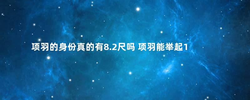 项羽的身份真的有8.2尺吗 项羽能举起1000斤的大鼎是真的吗